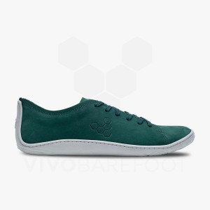 Vivobarefoot Addis Lifestyle Sko Herre Grønn | NO128OB