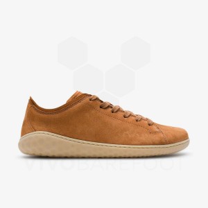 Vivobarefoot Geo Court III Lifestyle Sko Dame Brune | NO292GY