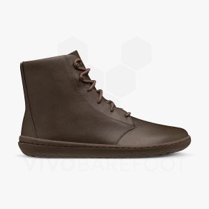 Vivobarefoot Gobi HI IV Lifestyle Sko Dame Kaffe | NO322CP