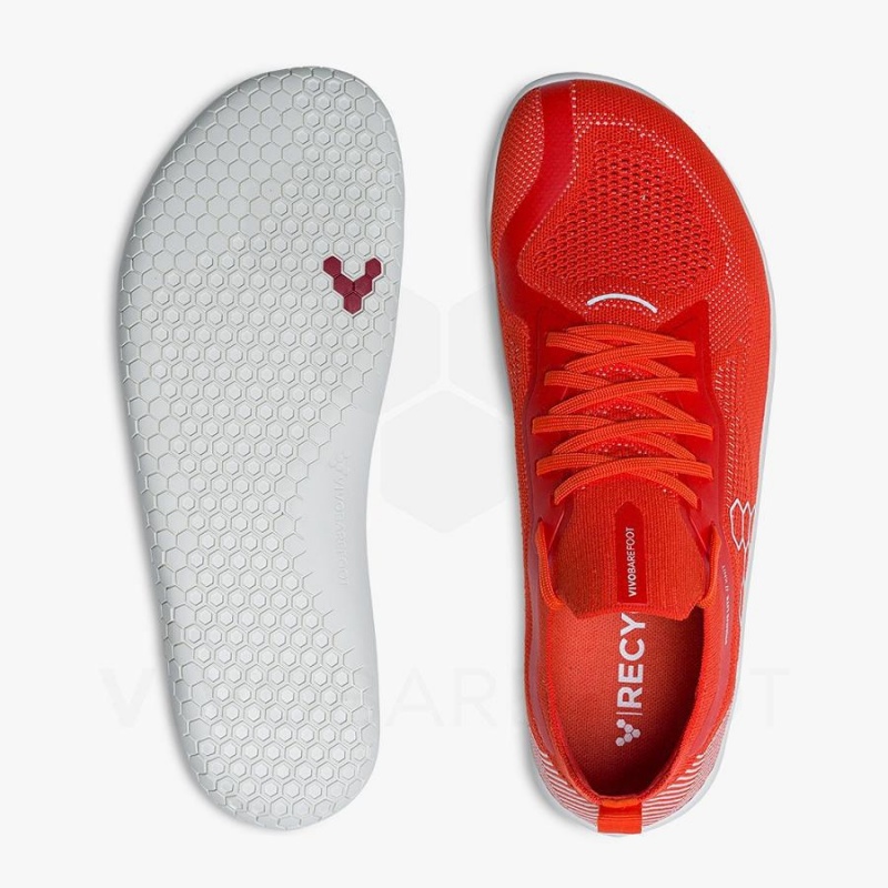 Vivobarefoot Primus Lite Knit Løpesko Vei Herre Rød | NO056IR