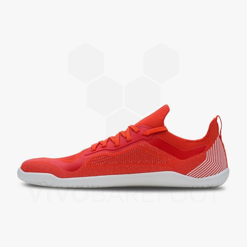 Vivobarefoot Primus Lite Knit Løpesko Vei Herre Rød | NO056IR