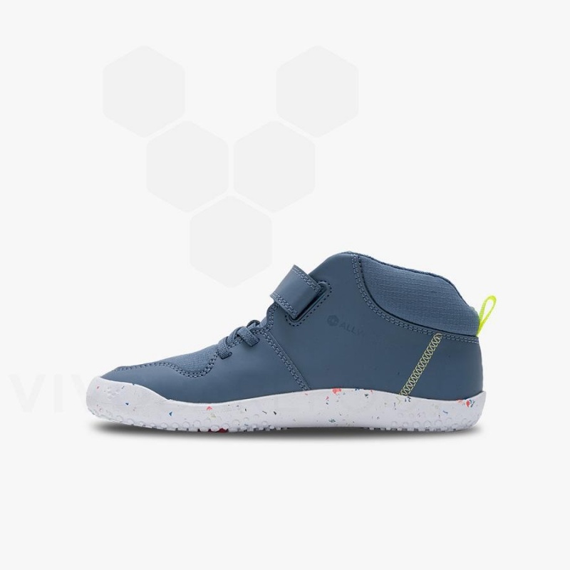 Vivobarefoot Primus Ludo Hi Juniors Sko Barn Indigo | NO413PV