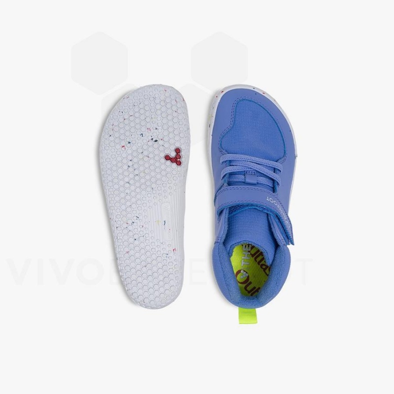 Vivobarefoot Primus Ludo Hi Preschool Sko Barn Blå | NO409TL