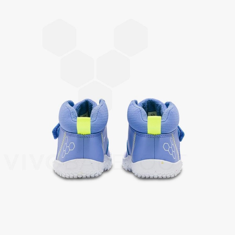 Vivobarefoot Primus Ludo Hi Preschool Sko Barn Blå | NO409TL