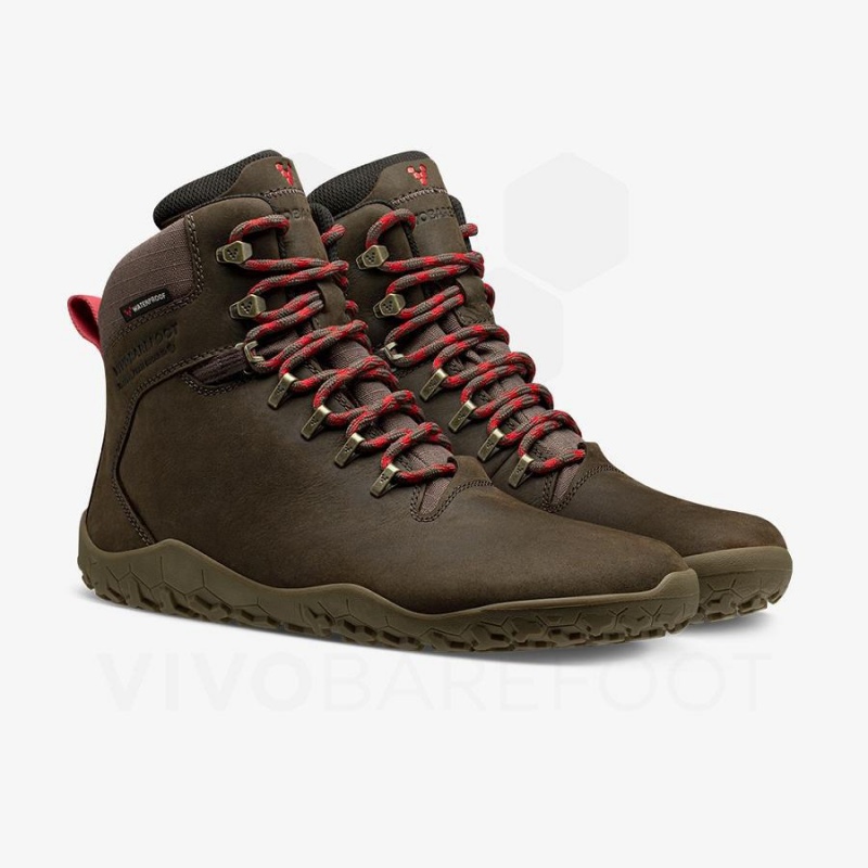 Vivobarefoot Tracker II FG Fjellsko Herre Taupe | NO027LQ